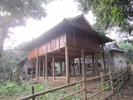 Bí ẩn chưa có lời giải ở vùng mộ đá cổ, Tin tức trong ngày, 