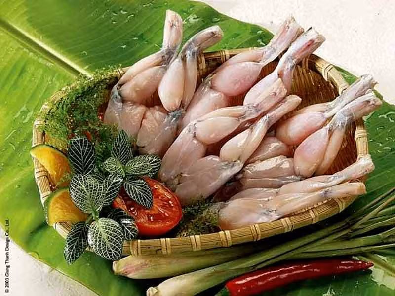10. Thịt ếch: Tại Pháp hay Việt Nam, chân ếch rất được người dân ưa chuộng. Tuy nhiên, niều khiến những chú ếch trở thành một món ăn nguy hiểm là nếu người dân ăn chúng vào những thời điểm không phù hợp trong năm, hoặc trước khi chúng đến mùa giao phối, chất độc từ cơ thể của ếch có thể khiến người ta suy thận, dẫn đến tử vong. Vì vậy, những người "có gan" thưởng thức thịt ếch cần phải đảm bảo rằng họ không đang "ngấu nghiến" chất độc.