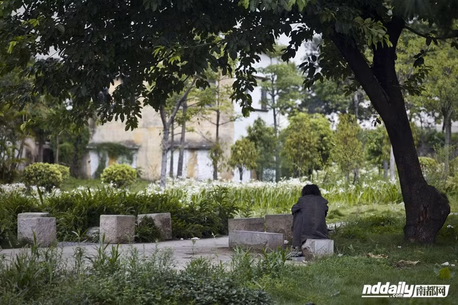 Lẩn thẩn trong công viên