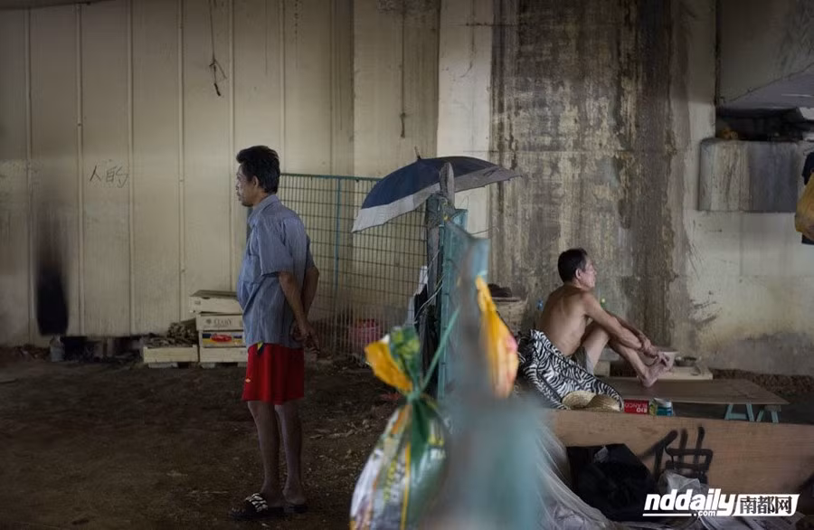 Không thể đoán định tương lai ngày mai ra sao
