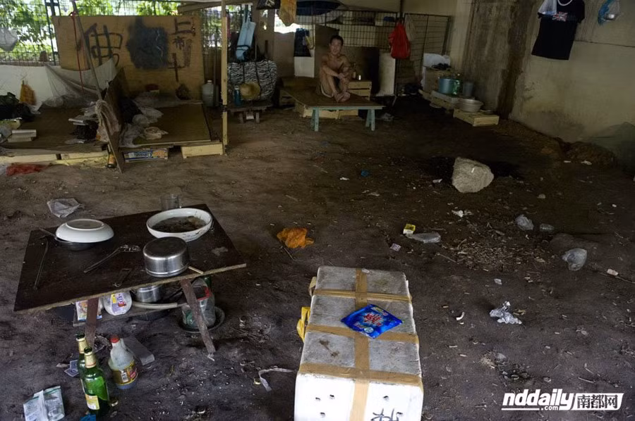 Mọi sinh hoạt của họ đều diễn ra nơi gầm cầu