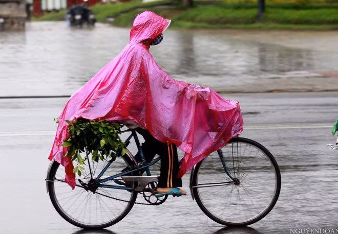 Đi chợ về... Đi chợ về...