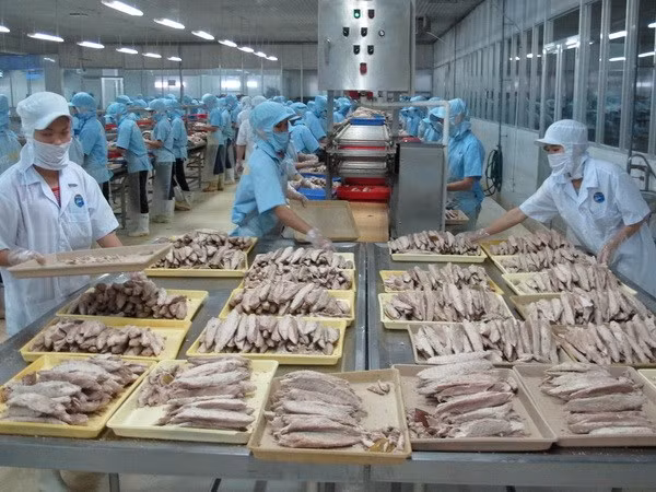 Thủ tướng chỉ đạo "vận động, hướng dẫn người nuôi, doanh nghiệp áp dụng biện pháp nuôi trồng thủy sản theo hướng bền vững" - (ảnh minh họa - nguồn chinhphu.vn).
