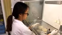 Hà Nội sắp vinh danh thủ khoa, mở cơ hội tuyển dụng vào các cơ quan Thành phố ảnh 2