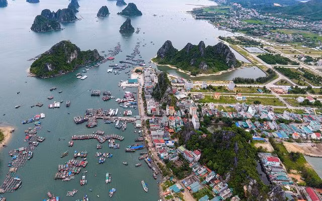 Ảnh minh họa: baochinhphu.vn