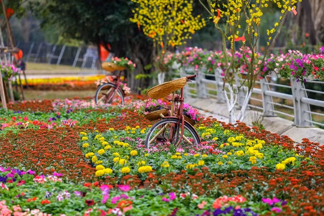 Đường hoa rực rỡ cùng nhiều hoạt động truyền thống Tết ba miền là điểm nhấn độc đáo hấp dẫn du khách trong lễ hội Xuân ba miền được tổ chức tại khu đô thị Ecopark. (Ảnh: Minh Sơn/Vietnam+) Đường hoa rực rỡ cùng nhiều hoạt động truyền thống Tết ba miền là điểm nhấn độc đáo hấp dẫn du khách trong lễ hội Xuân ba miền được tổ chức tại khu đô thị Ecopark. (Ảnh: Minh Sơn/Vietnam+)