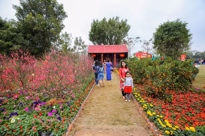 Đúng như tên gọi Xuân ba miền, lễ hội tái hiện lại hoàn hảo không gian truyền thống Tết của ba miền đất nước Bắc -Trung - Nam với đường hoa đào đỏ thắm, hoa mai vàng rực, con đường lồng đèn Hội An, chợ nổi miền Tây… (Ảnh: Minh Sơn/Vietnam+). Đúng như tên gọi Xuân ba miền, lễ hội tái hiện lại hoàn hảo không gian truyền thống Tết của ba miền đất nước Bắc -Trung - Nam với đường hoa đào đỏ thắm, hoa mai vàng rực, con đường lồng đèn Hội An, chợ nổi miền Tây… (Ảnh: Minh Sơn/Vietnam+).