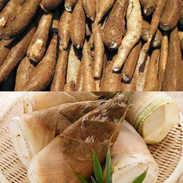 2. Sắn và măng tươi: Cyanid có trong sắn và măng tươi, còn gọi là axít hydrocyanic. Người bị ngộ độc sắn và măng tươi do rửa và ngâm không kỹ, ăn cả vỏ hoặc luộc sắn còn cả vỏ. Ngộ độc nặng hơn ở trẻ em, người suy dinh dưỡng đặc biệt là ăn sắn khi đói và ăn nhiều.