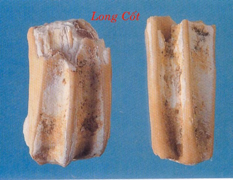 16. Long cốt 30g, mẫu lệ 20g, sơn thù 10g, gạo tẻ 100g. Các vị thuốc đem sắc kỹ 2 lần, mỗi lần 40 phút rồi lọc lấy nước nấu với gạo thành cháo, chia ăn vài lần trong ngày.
