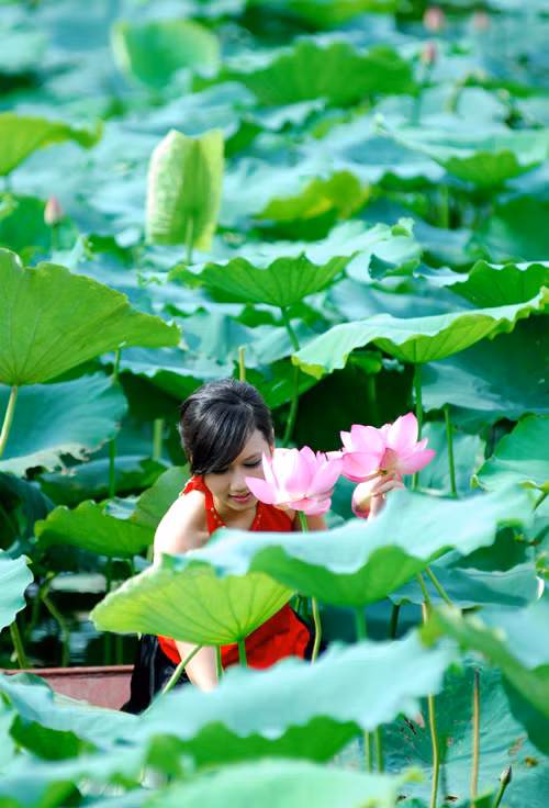 Có lẽ vì vẻ đẹp thanh tao, thuần khiết mà sen được nhiều thiếu nữ Việt yêu thích.(Ảnh: 24h) Xem thêm: Cơn sốt "thiên sứ 9X": Đẹp như mỹ nhân cổ trang Trung Hoa Có lẽ vì vẻ đẹp thanh tao, thuần khiết mà sen được nhiều thiếu nữ Việt yêu thích.(Ảnh: 24h) Xem thêm: Cơn sốt "thiên sứ 9X": Đẹp như mỹ nhân cổ trang Trung Hoa