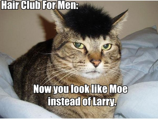 Một quảng cáo vui của Hair Club for Men: Giờ trông chú mày giống Moe hơn là Larry rồi đấy Một quảng cáo vui của Hair Club for Men: Giờ trông chú mày giống Moe hơn là Larry rồi đấy