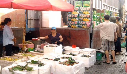 Tại cửa khẩu, giá các loại hoa quả, rau củ chỉ vài nghìn đồng/kg. Tại cửa khẩu, giá các loại hoa quả, rau củ chỉ vài nghìn đồng/kg.