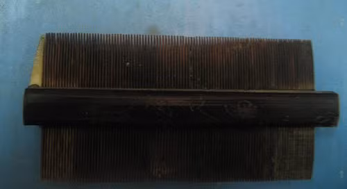 Lược bí - người bạn đồng hành đắc lực của mái tóc một thời Lược bí - người bạn đồng hành đắc lực của mái tóc một thời