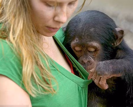 Rõ ràng nói màu đỏ rồi, mà còn cãi cơ.