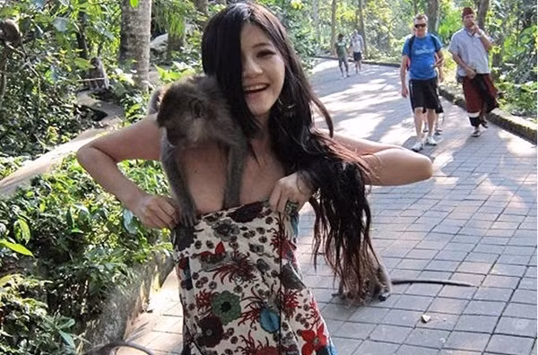 Ban đầu chỉ có 1 con khỉ...