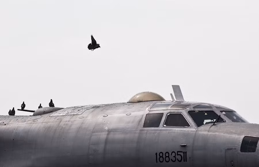 Tu-95 (định danh NATO: Bear) – máy bay ném bom chiến lược của Liên Xô. Oanh tạc cơ này đã đi vào hoạt động từ năm 1956 và trở thành một trong những máy bay ném bom có thời gian phục vụ lâu nhất thế giới. Tu-95 (định danh NATO: Bear) – máy bay ném bom chiến lược của Liên Xô. Oanh tạc cơ này đã đi vào hoạt động từ năm 1956 và trở thành một trong những máy bay ném bom có thời gian phục vụ lâu nhất thế giới.