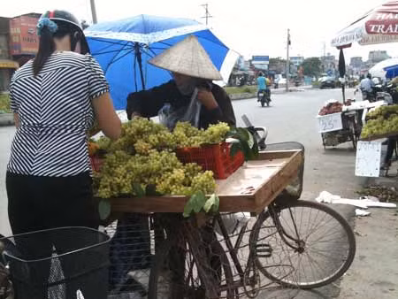 Cục Bảo vệ thực vật (Bộ NN&PTNT) cho biết Cục đã tiến hành lấy mẫu nho Trung Quốc nhập từ của khẩu Lào Cai phát hiện tồn dư lượng thuốc hóa học quá lớn.