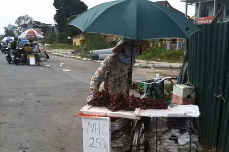 Trong khi nho Mỹ tại những cửa hàng hoa quả nhập khẩu có giá từ 150 đến 180 nghìn đồng/kg