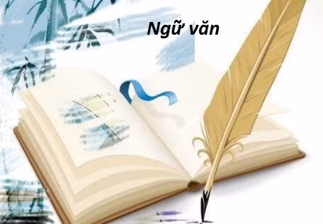 Chương trình mới sẽ khiến trẻ em phải đi học thêm từ 4-5 tuổi ảnh 3 Chương trình mới sẽ khiến trẻ em phải đi học thêm từ 4-5 tuổi ảnh 3