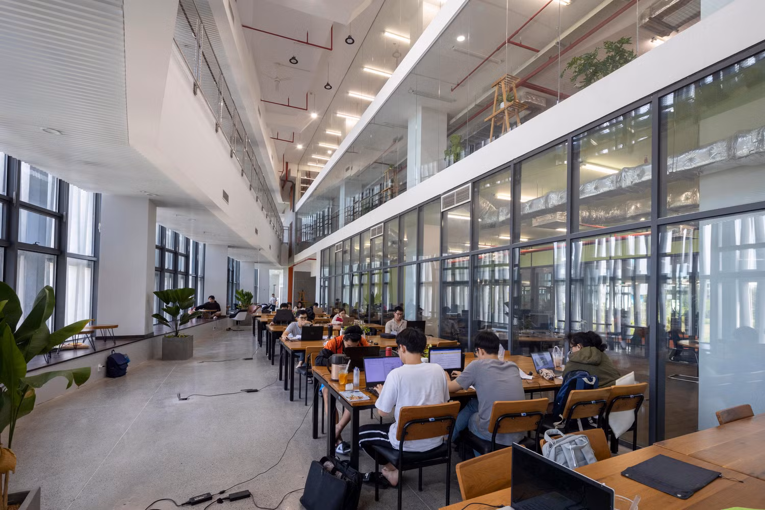 Ảnh minh hoạ: nguồn Trường Đại học Việt Đức
