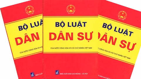 Làm luật – chuyên nghiệp hay nghiệp dư? (Ảnh: quangngai.gov.vn) Làm luật – chuyên nghiệp hay nghiệp dư? (Ảnh: quangngai.gov.vn)