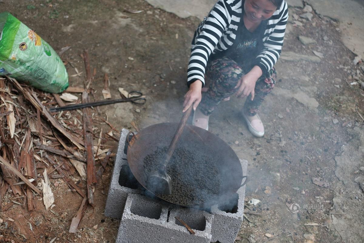 Chị Lý, một người dân thôn Kim Thạch đang sao phân bò chế thuốc chữa bệnh phụ khoa mãn tính. Chị Lý, một người dân thôn Kim Thạch đang sao phân bò chế thuốc chữa bệnh phụ khoa mãn tính.