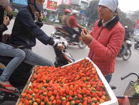 Tràn lan dâu tây TQ "đội lốt" Đà Lạt, "hét" giá gấp 3 lần ảnh 1