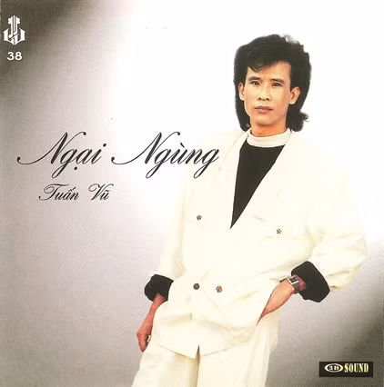 Một album của Tuấn Vũ được Trung tâm băng nhạc Làng Văn ghi âm và phát hành. Các bài hát trong album, theo Làng Văn, đang bị VTC Mobile kinh doanh dưới hình thức nhạc chuông, nhạc chờ.