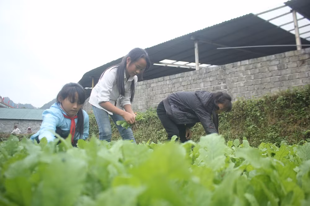 Chủ động và giám sát nguồn cung cấp thực phẩm rất cần thiết (Ảnh:V.N) Chủ động và giám sát nguồn cung cấp thực phẩm rất cần thiết (Ảnh:V.N)