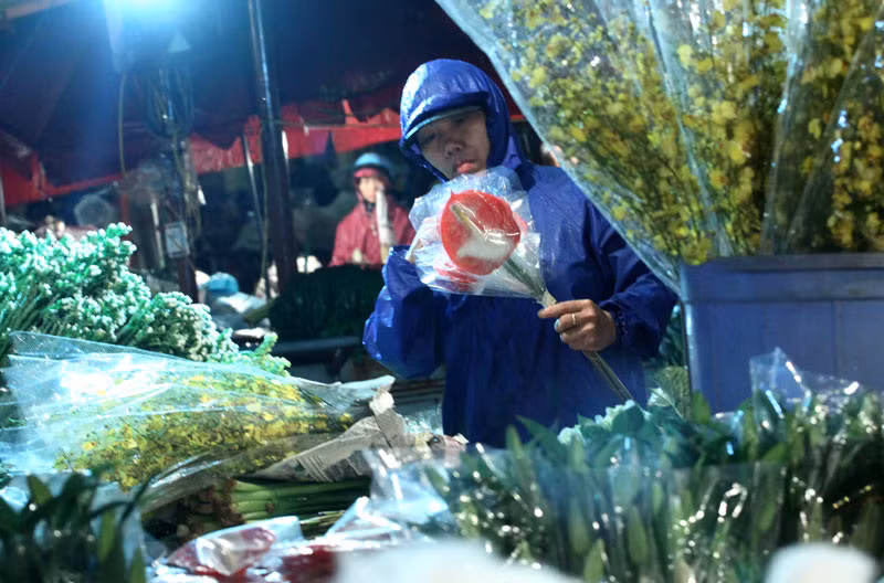 Khi bình minh hé rạng, những bó hoa e ấp trong ánh sáng hòa quyện giữa đèn điện và nền trời rạng thì vẻ đẹp tươi nguyên nơi "thế giới các loài hoa" mới được cảm nhận rõ nhất.