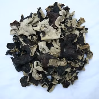 Mộc nhĩ và Biển đậu lượng bằng nhau, sấy khô tán bột, mỗi ngày uống 9g. Công dụng: Phòng chống bệnh tiểu đường. Xem thêm: Điểm danh các loại củ quả ăn nhiều dễ nhiễm độc Mộc nhĩ và Biển đậu lượng bằng nhau, sấy khô tán bột, mỗi ngày uống 9g. Công dụng: Phòng chống bệnh tiểu đường. Xem thêm: Điểm danh các loại củ quả ăn nhiều dễ nhiễm độc