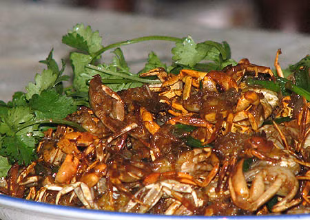 Chữa viêm vú cấp: Mai cua 10 cái. Rang mai cua cho chín, vàng sẫm, tán bột mịn ngày uống 2 lần, mỗi lần 9g, dùng 150g nước sôi pha với một nửa lượng rượu như thế, chia 2 lần uống trong ngày, uống 2 - 3 ngày. (Ảnh: In) Xem thêm: Cảm kích: Cùng ăn, cùng ở với dân vùng có bệnh viêm da lạ Chữa viêm vú cấp: Mai cua 10 cái. Rang mai cua cho chín, vàng sẫm, tán bột mịn ngày uống 2 lần, mỗi lần 9g, dùng 150g nước sôi pha với một nửa lượng rượu như thế, chia 2 lần uống trong ngày, uống 2 - 3 ngày. (Ảnh: In) Xem thêm: Cảm kích: Cùng ăn, cùng ở với dân vùng có bệnh viêm da lạ