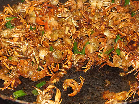Chữa trẻ em hở thóp: Cua đồng 1 con, bạch cập 10g (cây - vị thuốc đông y), rửa sạch cua, cùng với bạch cập giã nhỏ đắp vào thóp của trẻ, dùng vải mỏng buộc lại, thuốc được buộc vào thóp trẻ 10 tiếng, sau đó bỏ đi, 2 ngày sau buộc miếng thứ 2, buộc trong 5 lần. (Ảnh: In) Xem thêm: Cảm kích: Cùng ăn, cùng ở với dân vùng có bệnh viêm da lạ Chữa trẻ em hở thóp: Cua đồng 1 con, bạch cập 10g (cây - vị thuốc đông y), rửa sạch cua, cùng với bạch cập giã nhỏ đắp vào thóp của trẻ, dùng vải mỏng buộc lại, thuốc được buộc vào thóp trẻ 10 tiếng, sau đó bỏ đi, 2 ngày sau buộc miếng thứ 2, buộc trong 5 lần. (Ảnh: In) Xem thêm: Cảm kích: Cùng ăn, cùng ở với dân vùng có bệnh viêm da lạ