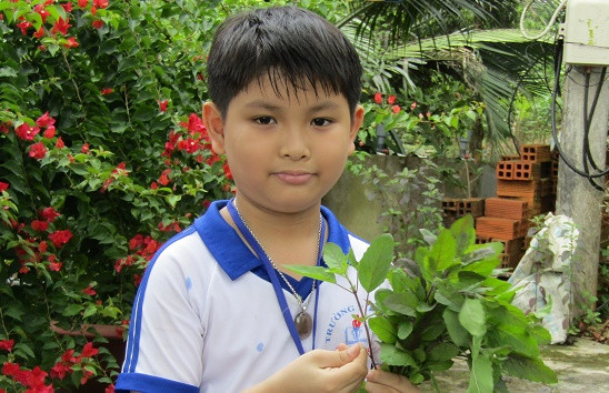 Duy với mồi nhử ruồi vang bằng lá é tía.