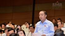 Ông Mai Sỹ Diến: Xây dựng đặc khu để tạo sự đột phá về kinh tế đất nước ảnh 2 Ông Mai Sỹ Diến: Xây dựng đặc khu để tạo sự đột phá về kinh tế đất nước ảnh 2