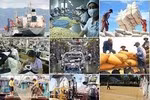 Xây dựng Chiến lược phát triển kinh tế xã hội giai đoạn 2021-2030