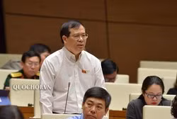 Sức dân là... chùm khế ngọt