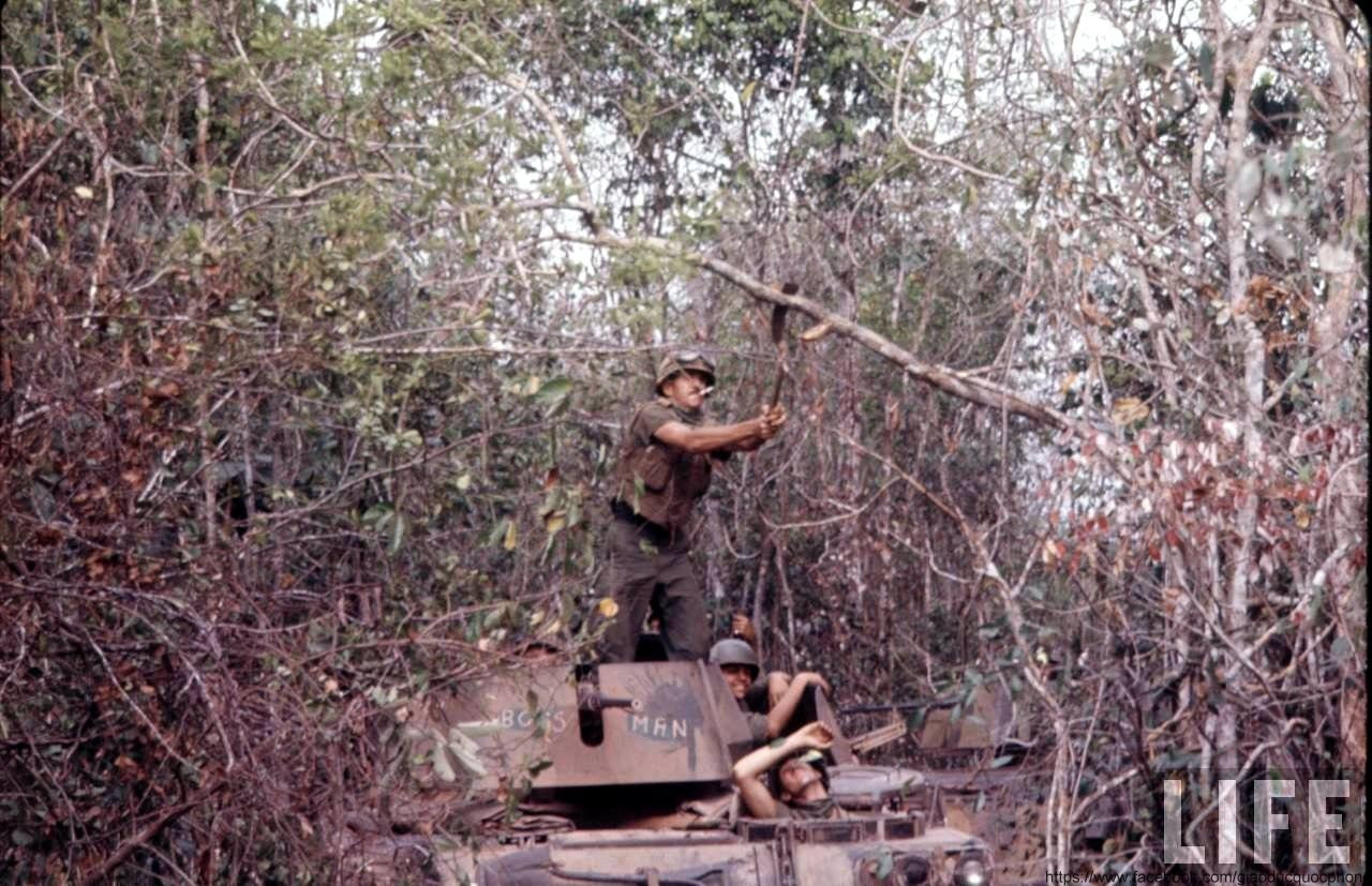 Trung đoàn Kỵ binh bọc thép số 11 của Lục quân Mỹ