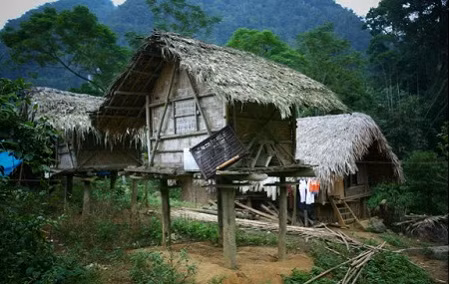 Những con “ ma cà rồng” thường đi hút máu người vào ban đêm. Chúng ăn hang ở lỗ, tối vào làng hút máu người và ăn trộm gà qué.