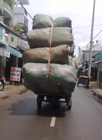 Chụp tại quận Bình Tân, TP.HCM. Ảnh: Lam Quang Thai. Chụp tại quận Bình Tân, TP.HCM. Ảnh: Lam Quang Thai.