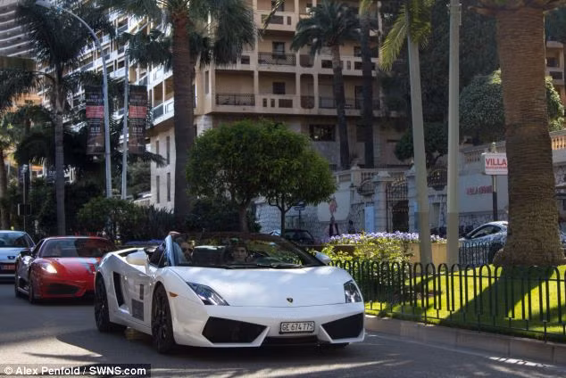 Lamborghini Gallardo màu trắng sang trọng Lamborghini Gallardo màu trắng sang trọng