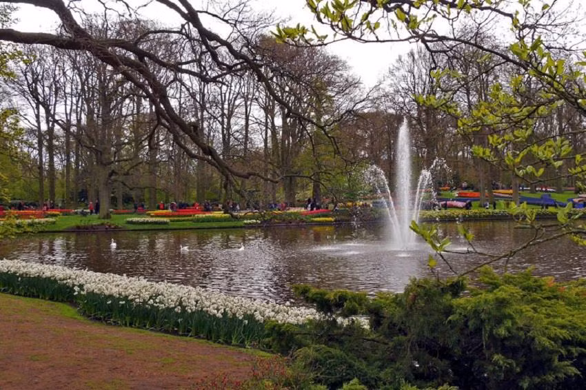 Một hồ nước trong Keukenhof.