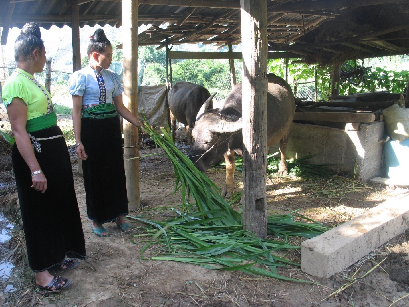 Ảnh minh họa: Chinhphu.vn