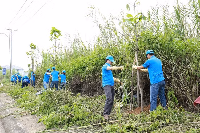 Nhân viên Novaland trồng 100 cây xanh đô thị tại tuyến đường trung tâm Quận Ninh Kiều – Thành phố Cần Thơ. Nhân viên Novaland trồng 100 cây xanh đô thị tại tuyến đường trung tâm Quận Ninh Kiều – Thành phố Cần Thơ.