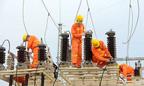 Hiện dự án đang bám sát kế hoạch đề ra cần sự tạo điều kiện của các địa phương.