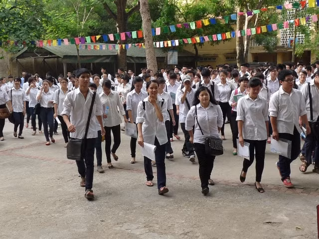 Ảnh minh họa Xuân Trung Ảnh minh họa Xuân Trung