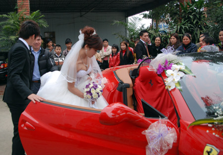 Chơi sang không kém đại gia thủy sản, ngày 29/02, đại gia Nguyễn Thị Liễu ở phố núi Hương Sơn, Hà Tĩnh cũng tổ chức đám cưới hoành tráng cho con trai với dàn các siêu sao hàng đầu showbiz Việt và hải ngoại như Đàm Vĩnh Hưng,Phi Nhung, Mạnh Quỳnh, Quang Lê, MC Lê Anh… Đây được xem là đám cưới “khủng” có một không hai từ trước tới nay. Người ta đồn đoán rằng giá trị của đám cưới này tiêu lên đến 50 tỷ đồng.