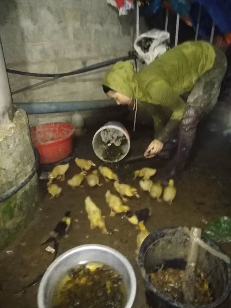 Đêm đêm cô Lê Thị Minh thân cò, thân vạc, đặt trúm bắt cua, mãi khuya mới trở về nhà