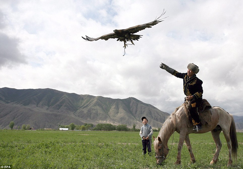 Talgarbek Shajbyrov thả đại bàng vàng của mình cho nó hưởng chút tự do tại làng Bokonbaevo, Kyrgyzstan trong sự thích thú của cậu con trai nhỏ đứng cạnh. Talgarbek Shajbyrov thả đại bàng vàng của mình cho nó hưởng chút tự do tại làng Bokonbaevo, Kyrgyzstan trong sự thích thú của cậu con trai nhỏ đứng cạnh.
