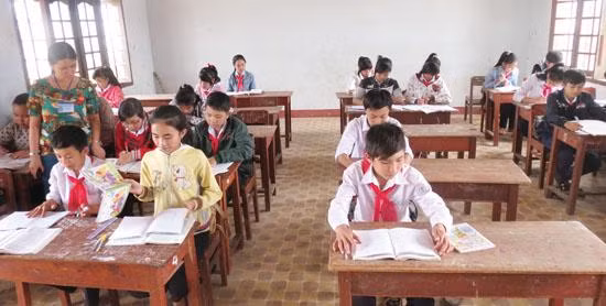 Ảnh chỉ mang tính minh họa, nguồn: Báo Quảng Ngãi)